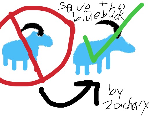 Drawing from Zachary