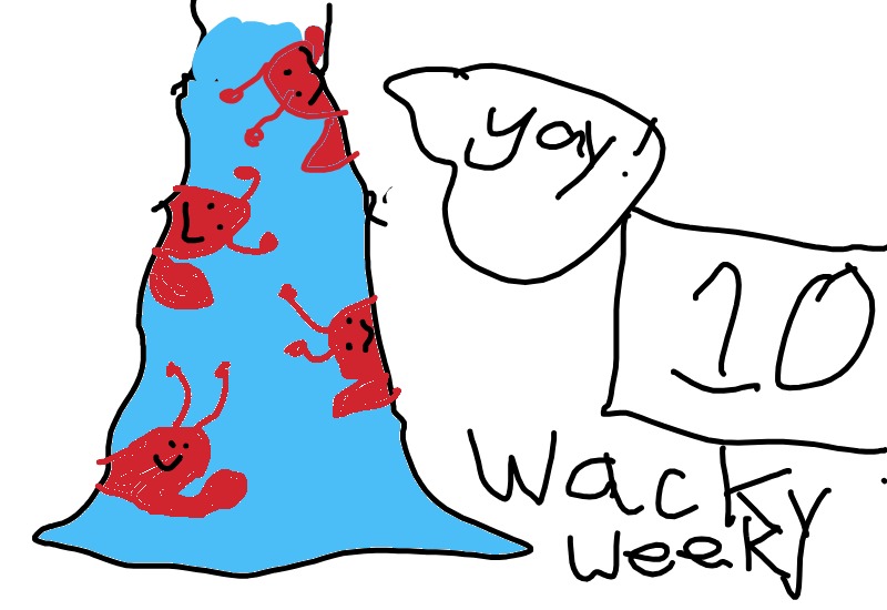 Drawing from User