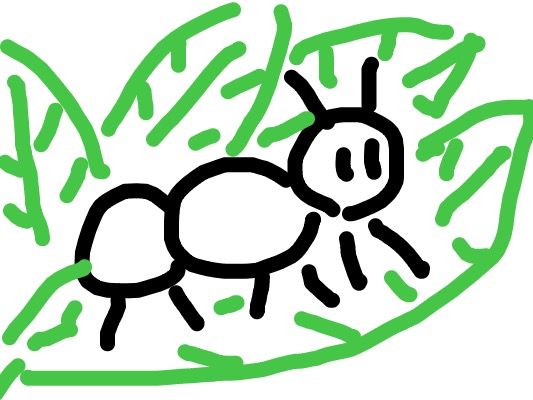 Drawing from User