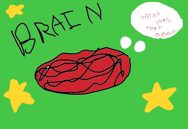 Drawing from User