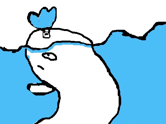 Drawing from User