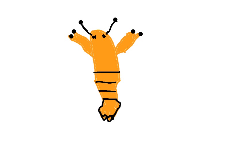 Drawing from Ella