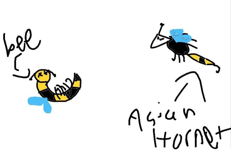 Drawing from Evan