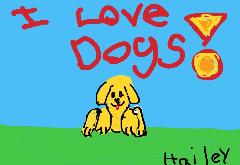 Drawing from Hailey