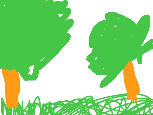 Drawing from Harper