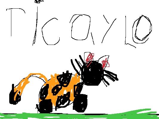 Drawing from User