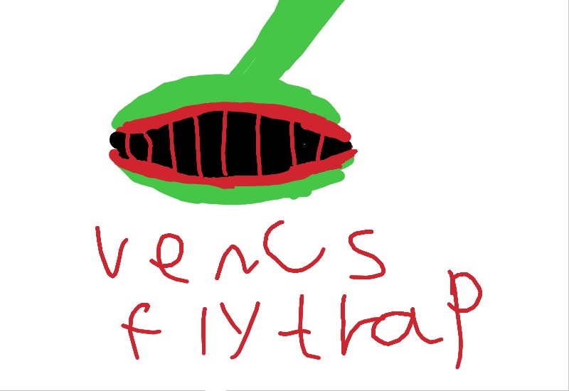 Drawing from Ivan