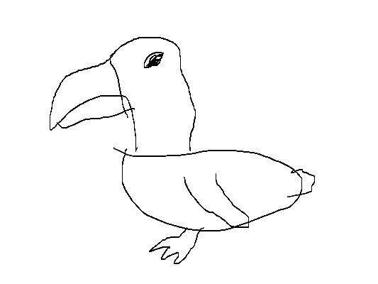 Drawing from Jackson