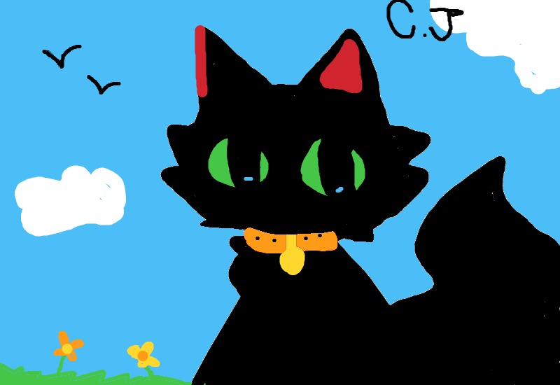Drawing from CJ