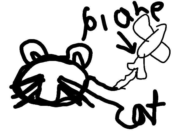 Drawing from Luca