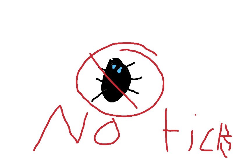 Drawing from Lucy