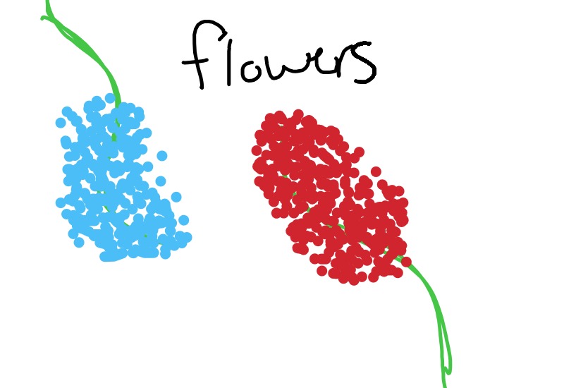 Drawing from Lydia