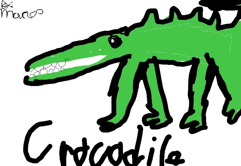 Drawing from Marco