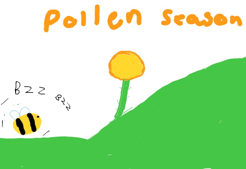 Drawing from Nicholas