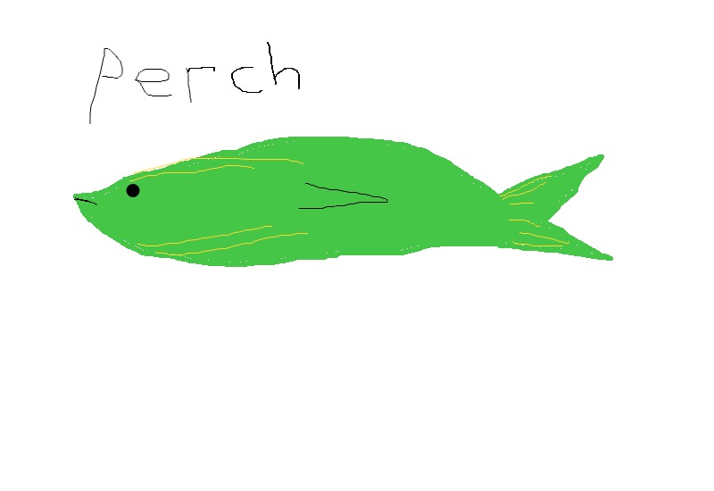 Drawing from Piper