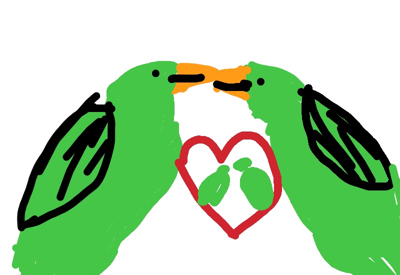 Drawing from William