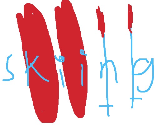 Drawing from Wyatt