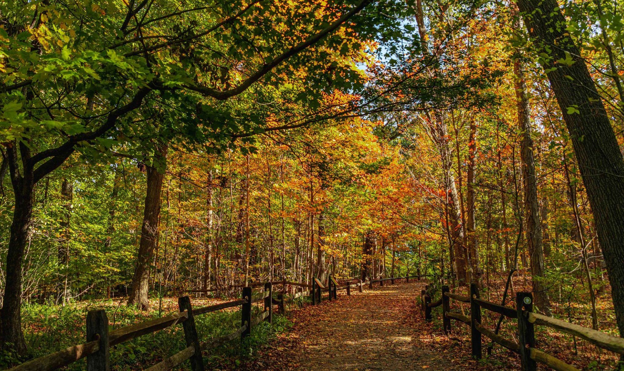 The New York Botanical Garden has beautiful fall colors.