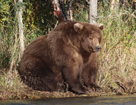 Katmai National Park, Alaska
